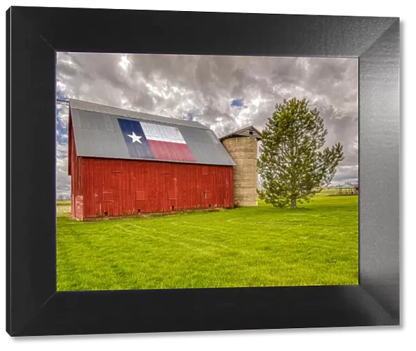 USA, Colorado, Larimer County. Red in farm field. Credit as Fred Lord  /  Jaynes Gallery  / 