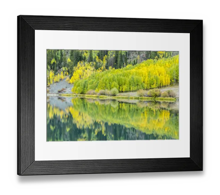 Framed Print : USA, Colorado, Gunnison National Forest. Forest reflections in lake