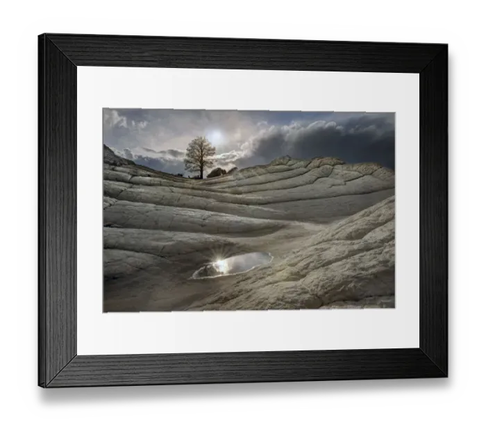 Framed Print : A pool reflects in folds of Brain Rock in white pockets in northern Arizona Framed Print : A pool reflects in folds of Brain Rock in white pockets in northern Arizona