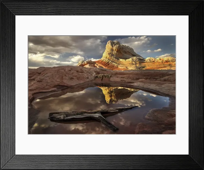 Framed Print : A log in a pool reflect white pockets area in northern Arizona Framed Print : A log in a pool reflect white pockets area in northern Arizona
