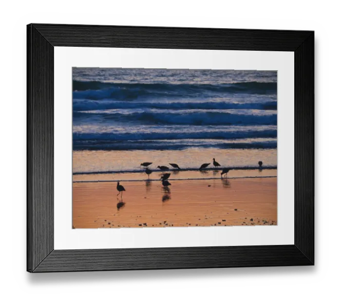 Framed Print : Morro Bay Shore Framed Print : Morro Bay Shore
