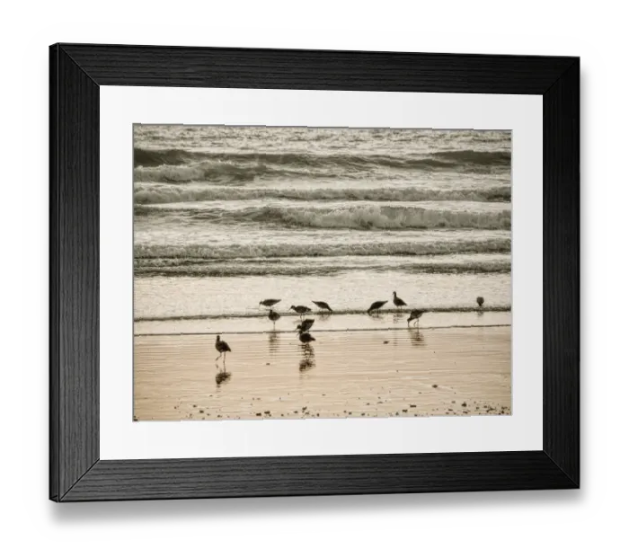Framed Print : Morro Bay Shore Framed Print : Morro Bay Shore