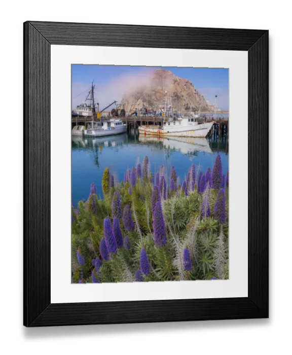Framed Print : Boat Docks on Morro Bay, California, USA Framed Print : Boat Docks on Morro Bay, California, USA
