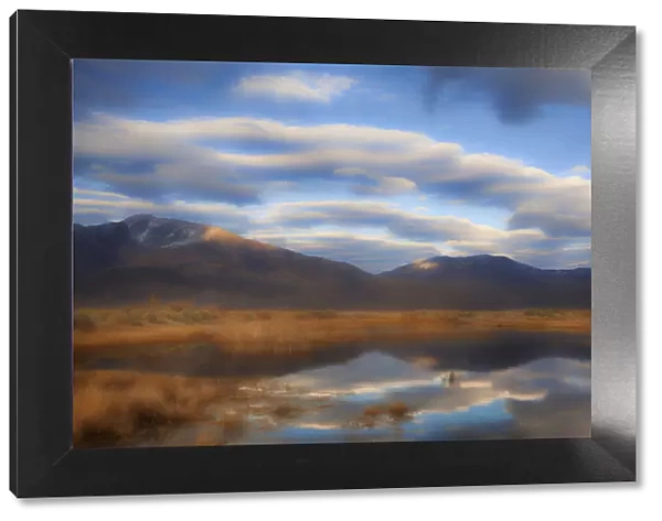 USA, California, Owens Valley. Abstract of reflections in river