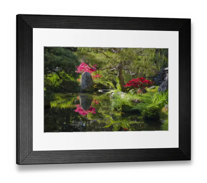 Framed Print : Japanese Tea Garden, Golden Gate Park, San Francisco, California, USA