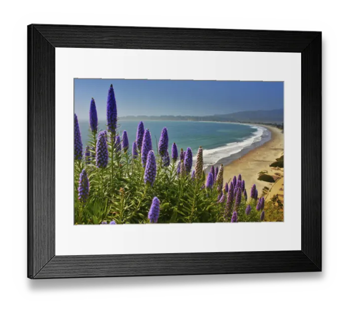 Framed Print : Beach, Coastal Marin Headlands, California, USA Framed Print : Beach, Coastal Marin Headlands, California, USA