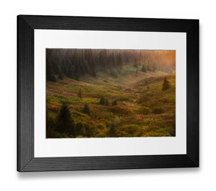 Framed Print : Homer, Alaska, autumn, valley, fireweed Framed Print : Homer, Alaska, autumn, valley, fireweed