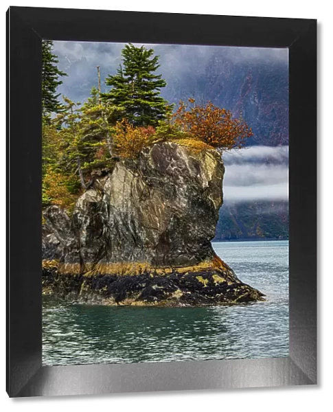 Prince William Sound, Alaska, Valdez, island, autumn, color, evergreen, fog