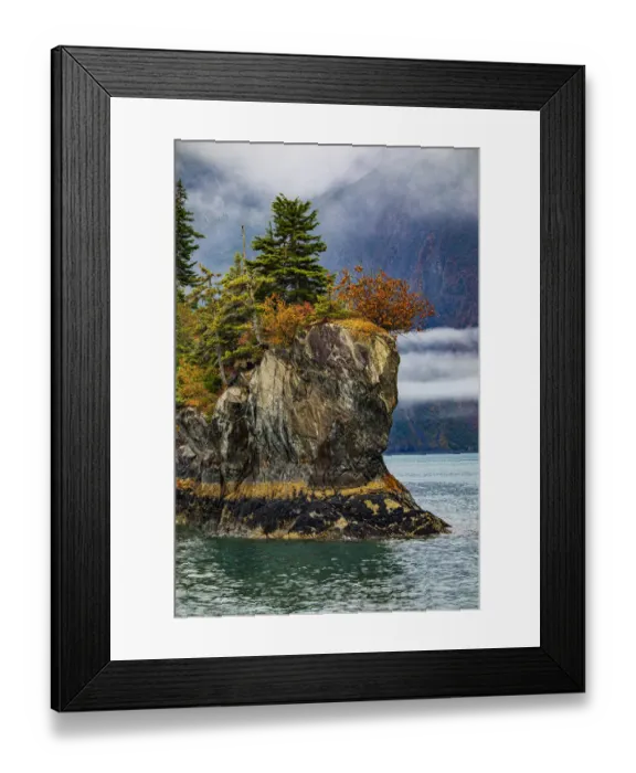 Framed Print : Prince William Sound, Alaska, Valdez, island, autumn, color, evergreen, fog Framed Print : Prince William Sound, Alaska, Valdez, island, autumn, color, evergreen, fog