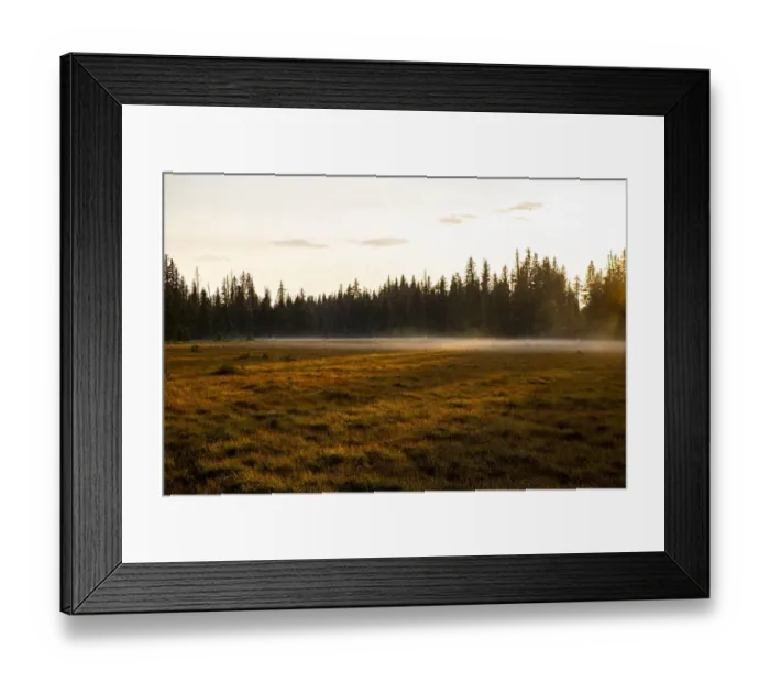 Framed Print : Homer, Alaska, Kenai Peninsula