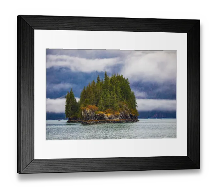 Framed Print : Prince William Sound, Alaska, Valdez, Island, evergreen trees, autumn, fog