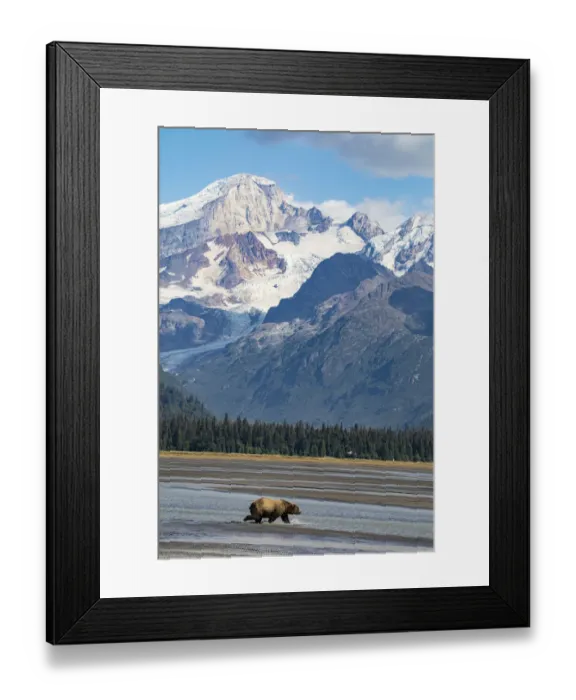 Framed Print : Lake Clark National Park and Preserve, Cook Inlet, Kenai Peninsula, Alaska, brown bear Framed Print : Lake Clark National Park and Preserve, Cook Inlet, Kenai Peninsula, Alaska, brown bear