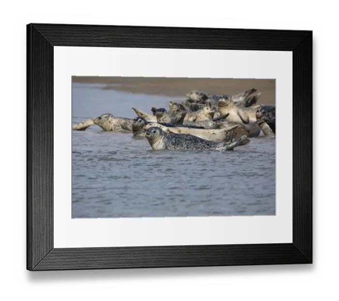 Framed Print : Lake Clark National Park and Preserve, Cook Inlet, Kenai Peninsula, Alaska