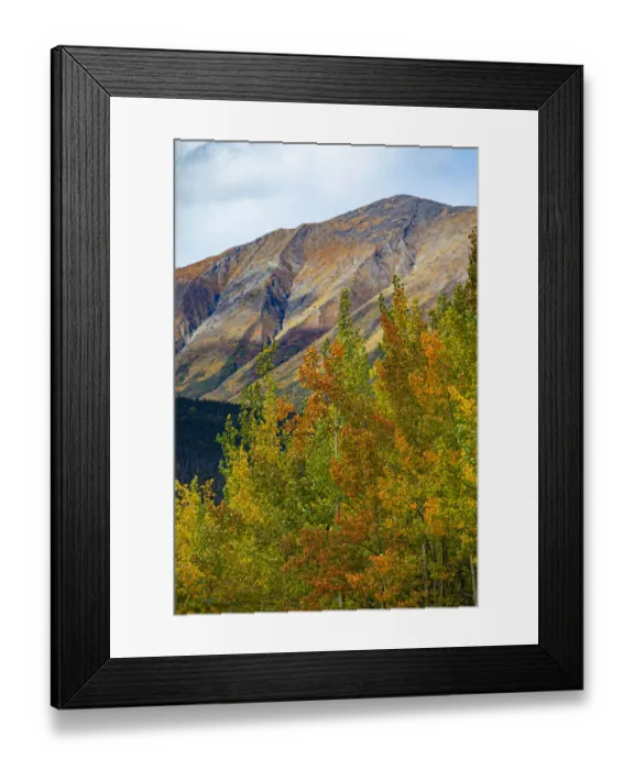 Framed Print : Richardson Highway, Alaska, autumn color, birch, aspens, mountains, Permafrost Framed Print : Richardson Highway, Alaska, autumn color, birch, aspens, mountains, Permafrost
