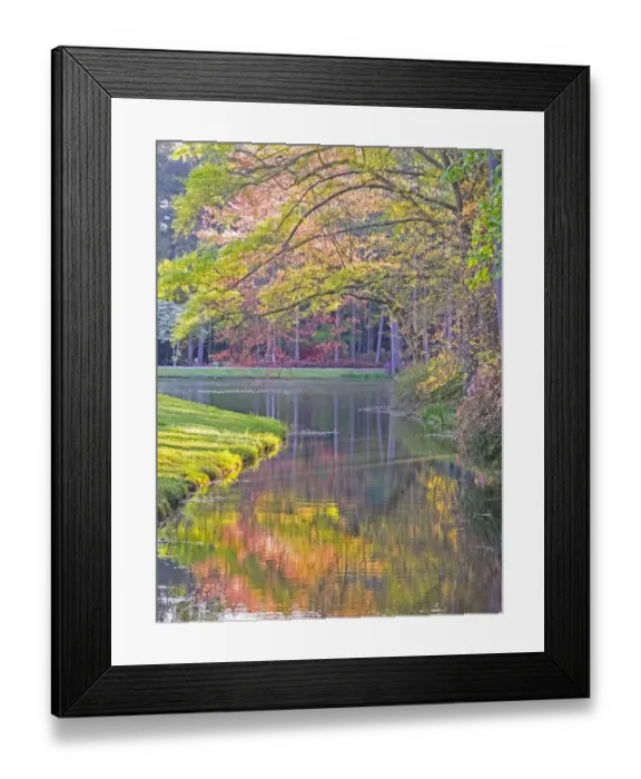 Framed Print : USA, Georgia, Callaway gardens springtime