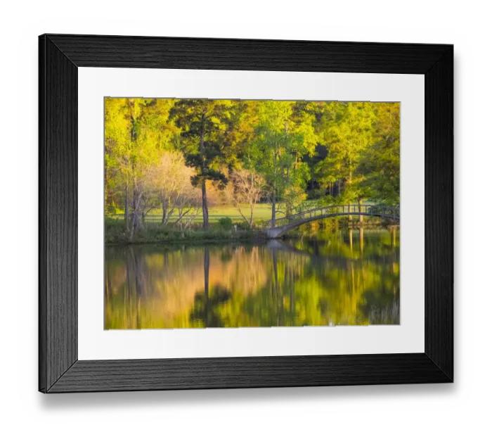 Framed Print : USA, Georgia, Callaway gardens springtime Framed Print : USA, Georgia, Callaway gardens springtime