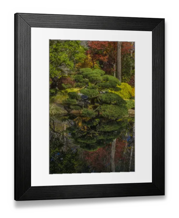 Framed Print : USA, Georgia, Jasper. Japanese Garden and pond in Gibbs Garden Framed Print : USA, Georgia, Jasper. Japanese Garden and pond in Gibbs Garden