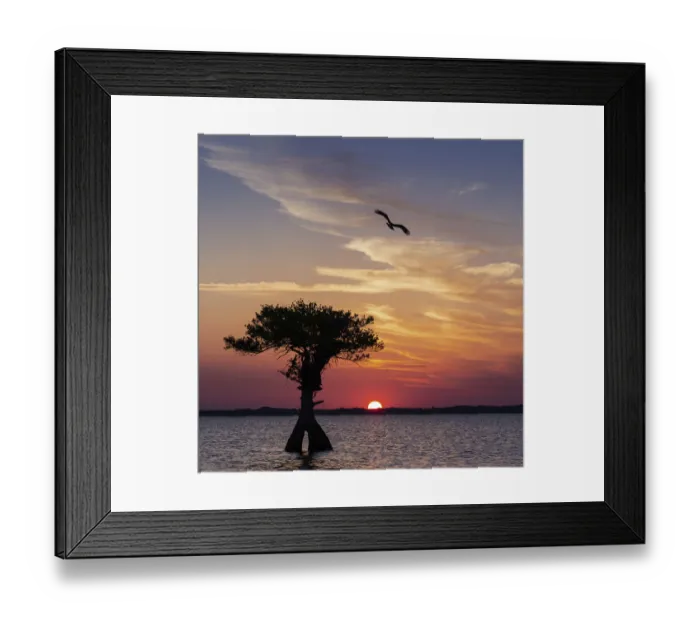 Framed Print : Sunset on Blue Cypress Lake Conservation Area, Vero Beach, Florida Framed Print : Sunset on Blue Cypress Lake Conservation Area, Vero Beach, Florida