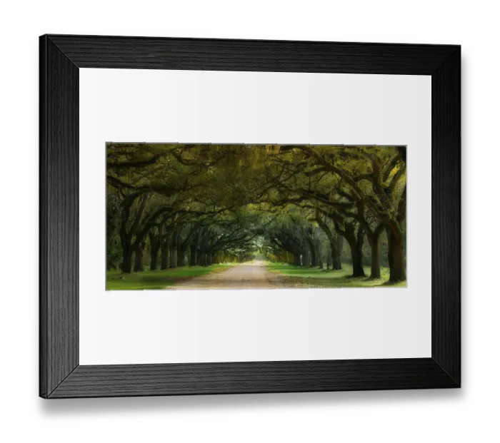 Framed Print : Oak Alley, Wormsloe Plantation, Savannah, Georgia, USA Framed Print : Oak Alley, Wormsloe Plantation, Savannah, Georgia, USA