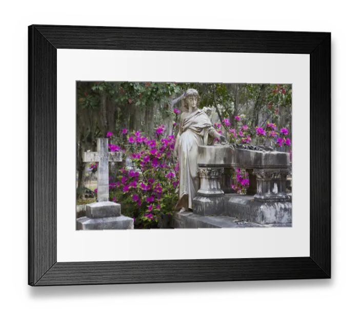 Framed Print : USA, Georgia, Savannah, Bonaventure Cemetery in the spring with azaleas in bloom Framed Print : USA, Georgia, Savannah, Bonaventure Cemetery in the spring with azaleas in bloom