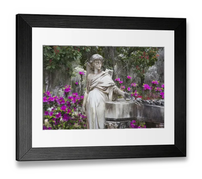 Framed Print : USA, Georgia, Savannah, Bonaventure Cemetery in the spring with azaleas in bloom Framed Print : USA, Georgia, Savannah, Bonaventure Cemetery in the spring with azaleas in bloom