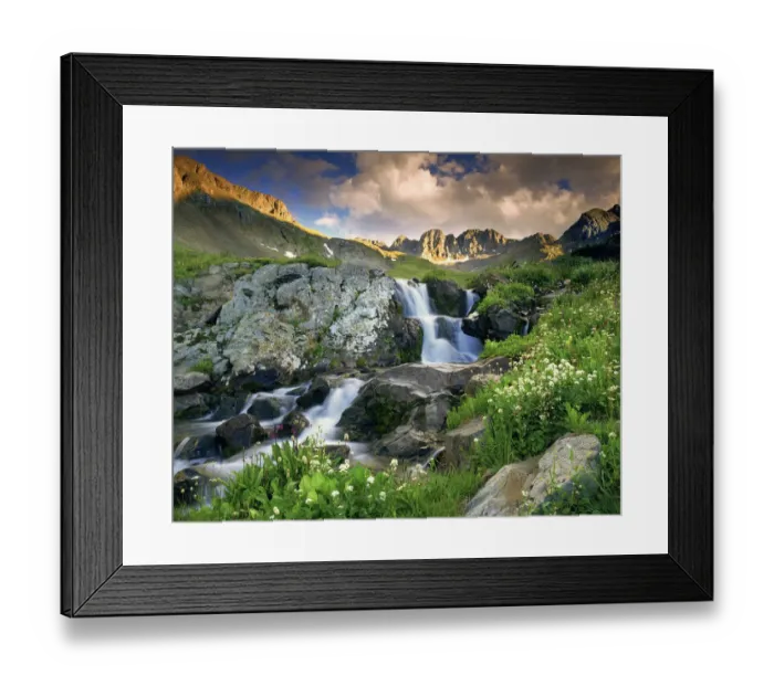 Framed Print : A spring cascade with white wildflowers in American Basin in the Colorado Rocky Mountains