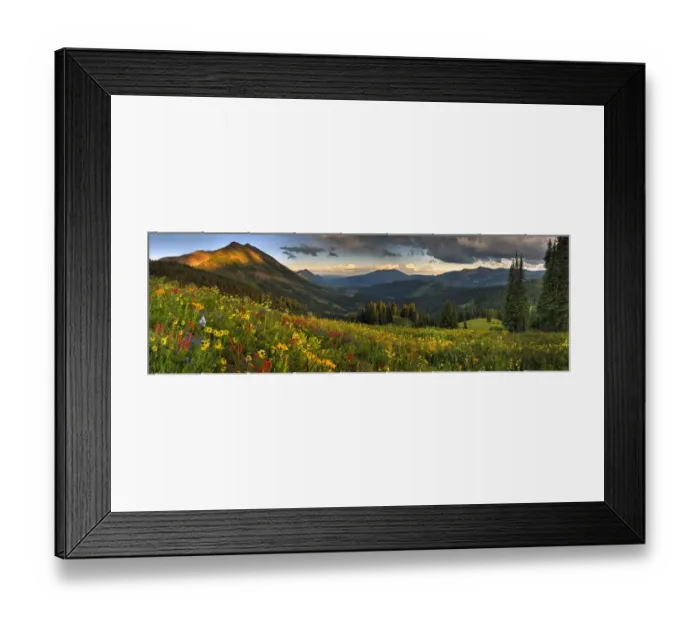 Framed Print : Colorado, Crested Butte, wildflowers