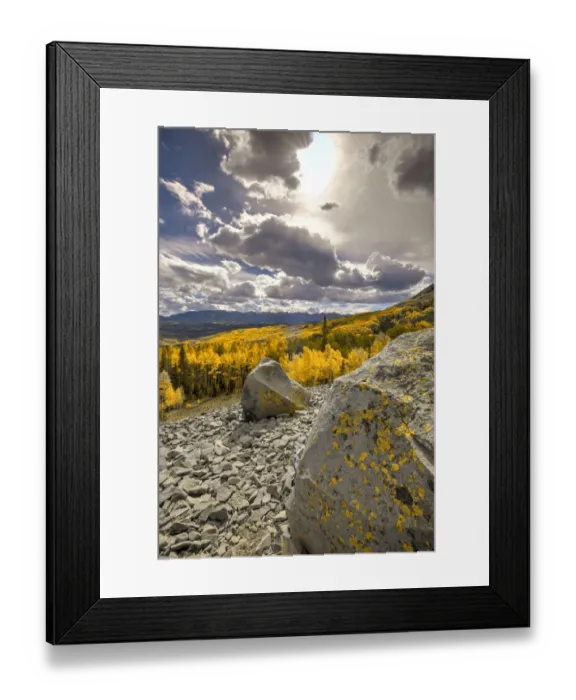 Framed Print : A valley of gold Aspen on Ohio Pass in the Colorado Rocky Mountains near Crested Butte Framed Print : A valley of gold Aspen on Ohio Pass in the Colorado Rocky Mountains near Crested Butte