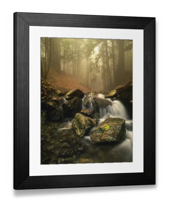 Framed Print : A stream meanders through a fog filled valley on coastal California near Big Sur Framed Print : A stream meanders through a fog filled valley on coastal California near Big Sur