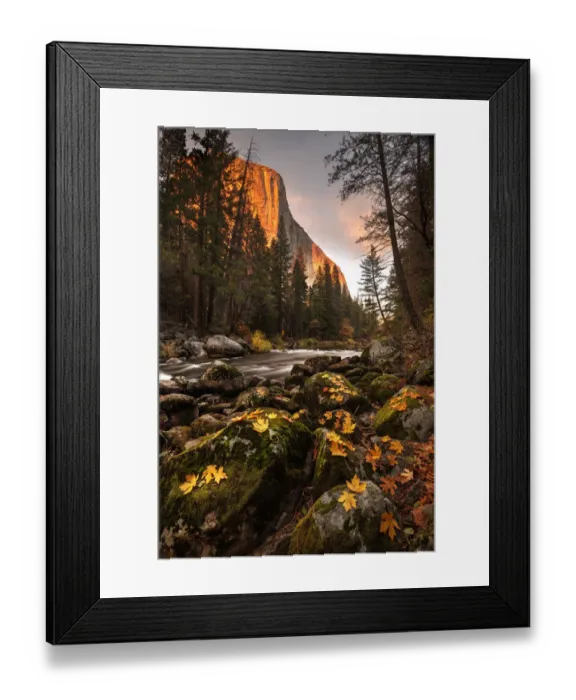 Framed Print : Fall along Merced River in Yosemite National Park, California Framed Print : Fall along Merced River in Yosemite National Park, California