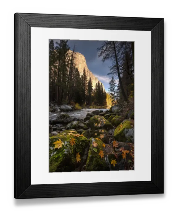 Framed Print : Autumn along Merced River in Yosemite National Park, California Framed Print : Autumn along Merced River in Yosemite National Park, California
