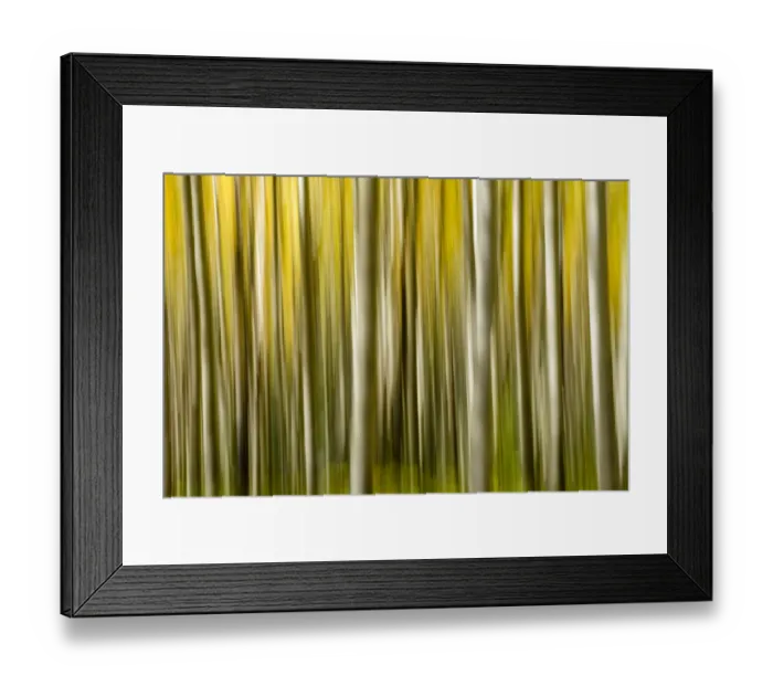 Framed Print : USA, Colorado, Aspen, Abstract, Fall Colors