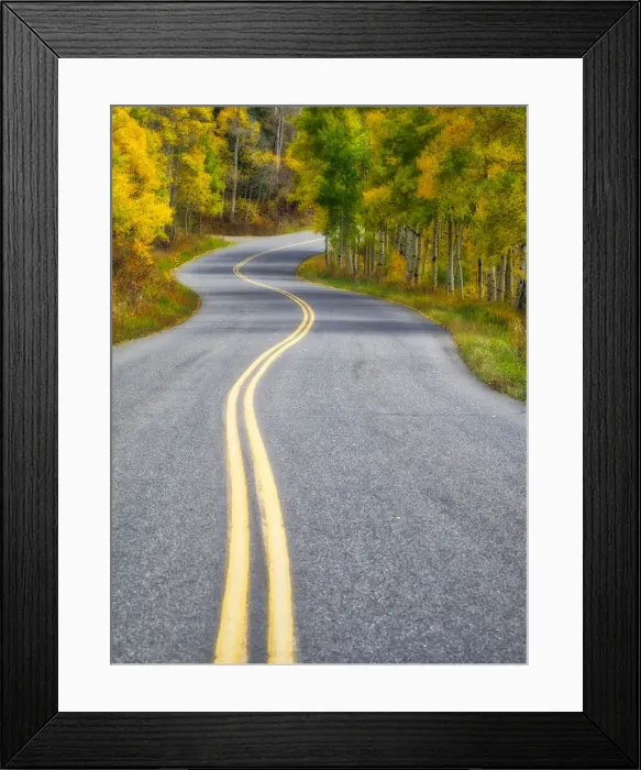 Framed Print : USA, Colorado. Curved Roadway near Aspen, Colorado in autumn colors and aspens groves Framed Print : USA, Colorado. Curved Roadway near Aspen, Colorado in autumn colors and aspens groves