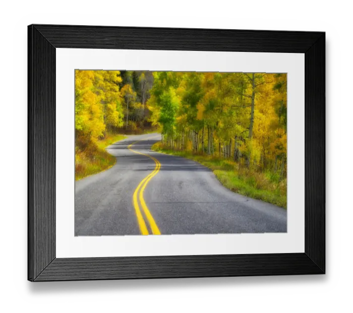 Framed Print : USA, Colorado. Curved Roadway near Aspen, Colorado in autumn colors and aspens groves Framed Print : USA, Colorado. Curved Roadway near Aspen, Colorado in autumn colors and aspens groves