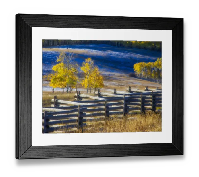 Framed Print : USA, Colorado, San Juan Mts. Fence line and aspens with fresh snow in the fall