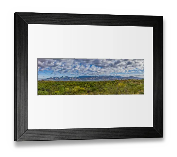 Framed Print : USA, Arizona, Tucson, Saguaro National Park Framed Print : USA, Arizona, Tucson, Saguaro National Park
