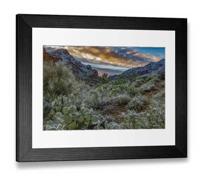 Framed Print : Usa, Arizona, Tucson Mountain Park Framed Print : Usa, Arizona, Tucson Mountain Park
