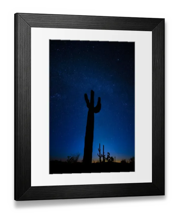 Framed Print : A giant saguaro cactus silhouettes in the clear Arizona evening