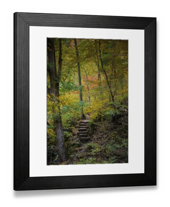 Framed Print : Trail Steps in Clifty Creek Park, Southern Indiana Framed Print : Trail Steps in Clifty Creek Park, Southern Indiana