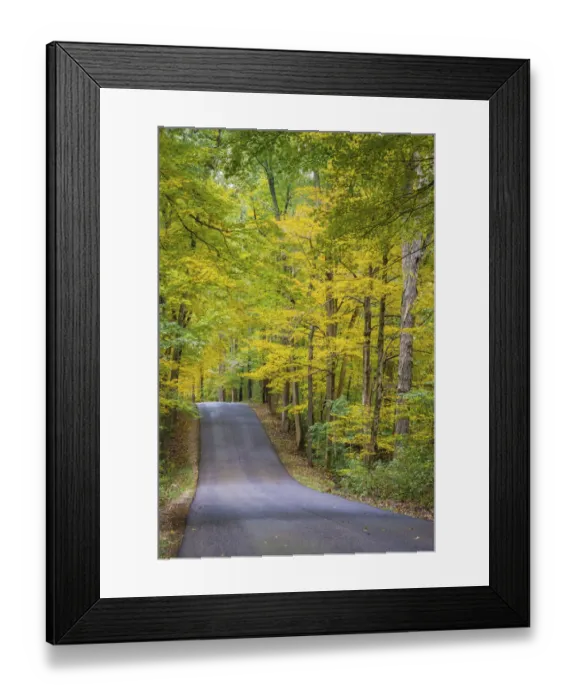 Framed Print : Curvy Road in Clifty Creek Park, Southern Indiana Framed Print : Curvy Road in Clifty Creek Park, Southern Indiana