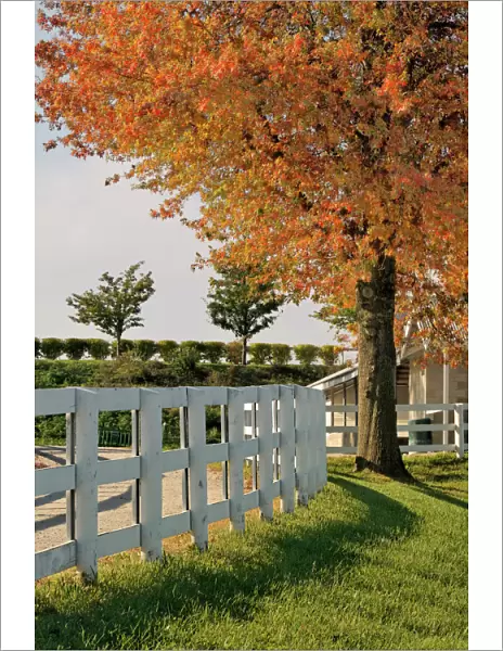 White fences, Keeneland race track, Lexington, Kentucky