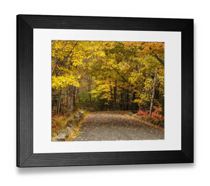 Framed Print : USA, Maine, autumn colors Framed Print : USA, Maine, autumn colors
