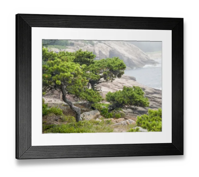 Framed Print : USA, Maine. Otter Cliffs and the Atlantic Ocean in Acadia National Park