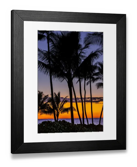 Framed Print : Tropical Sunset Framed Print : Tropical Sunset