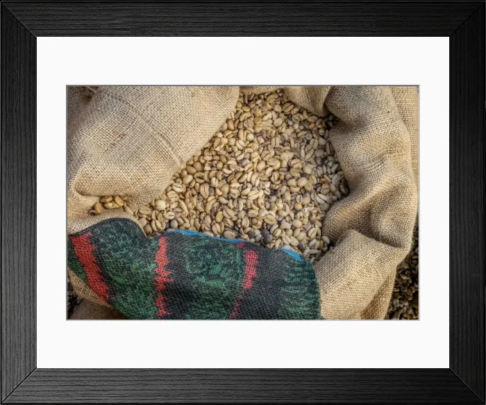 Framed Print : Kauai Coffee beans drying, Kauai, Hawaii, USA Framed Print : Kauai Coffee beans drying, Kauai, Hawaii, USA