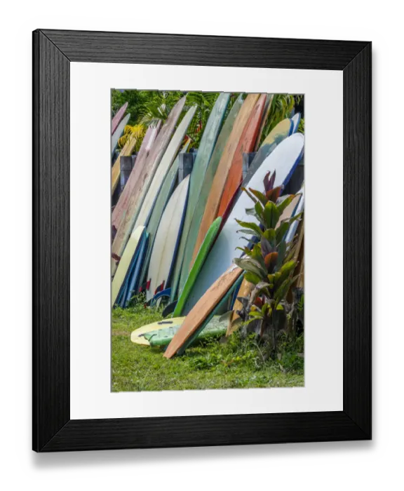 Framed Print : Surfboards and bodyboards, Kauai, Hawaii, USA Framed Print : Surfboards and bodyboards, Kauai, Hawaii, USA