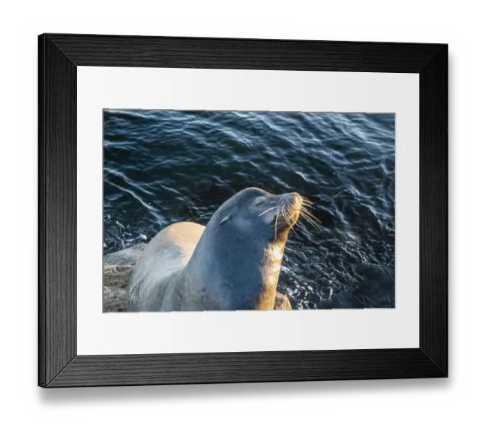 Framed Print : United States, California, Monterey, Beachwater Cove Beach and Marina