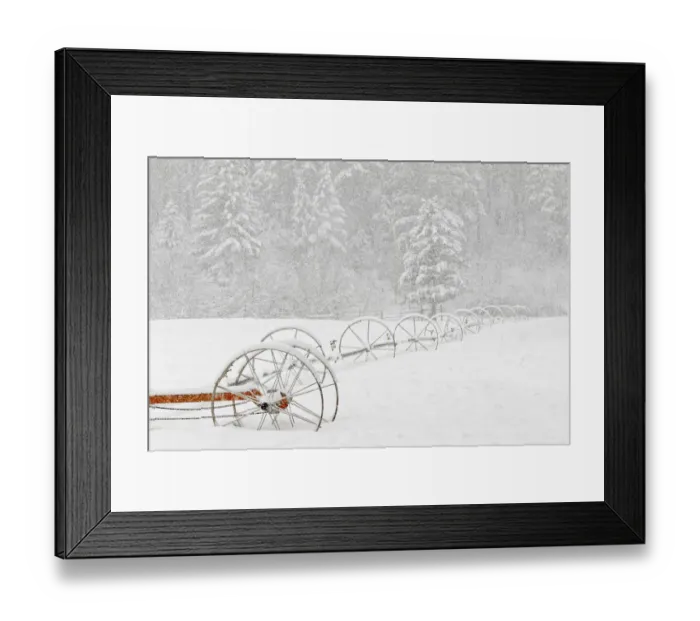 Framed Print : Irrigation sprinkler system in winter snowstorm, Kalispell, Montana Framed Print : Irrigation sprinkler system in winter snowstorm, Kalispell, Montana