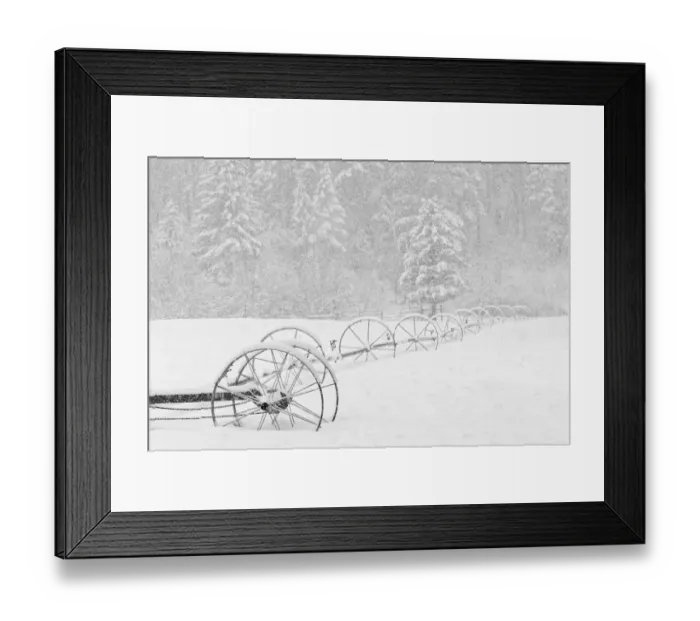 Framed Print : Irrigation sprinkler system in winter snowstorm, Kalispell, Montana Framed Print : Irrigation sprinkler system in winter snowstorm, Kalispell, Montana