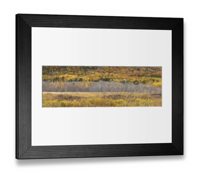 Framed Print : USA, Maine, Mt. Desert Island, Acadia National Park, autumn foliage